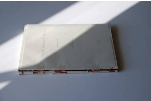 finchè tornerai terra.png